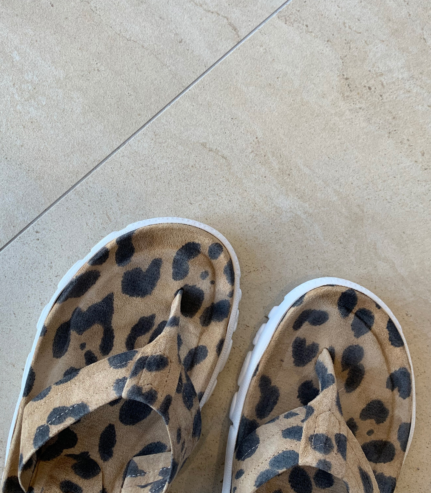 leopard slipper